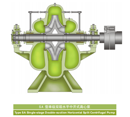 SA三维剖分图.png