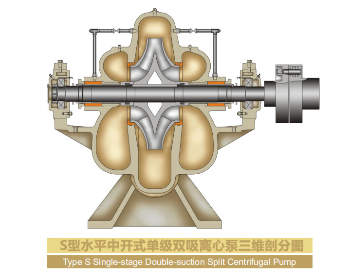 S三维剖分图.jpg
